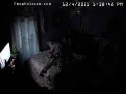 Voyeur Hidden Cam Live